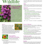WWF garden brochure web