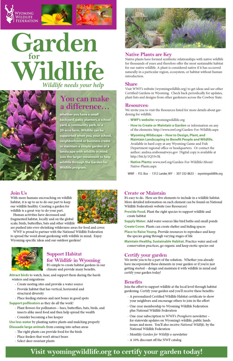 Certifying Your Yard or Garden as a Wildlife Habitat