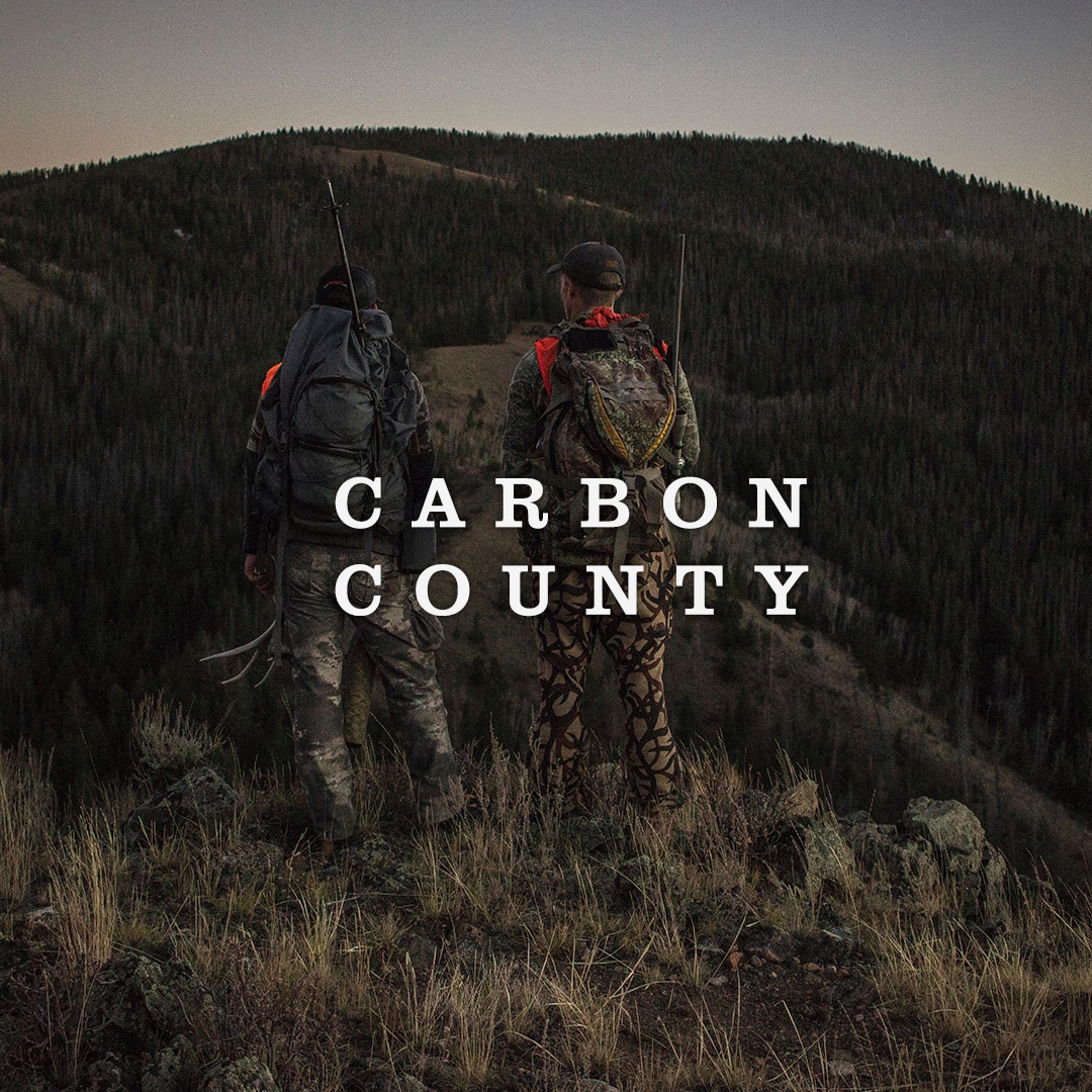 Carbon County Cover Image