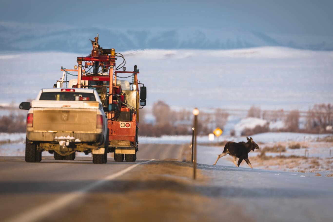 Wyoming Wildlife and Roadways Initiative Implementation Team