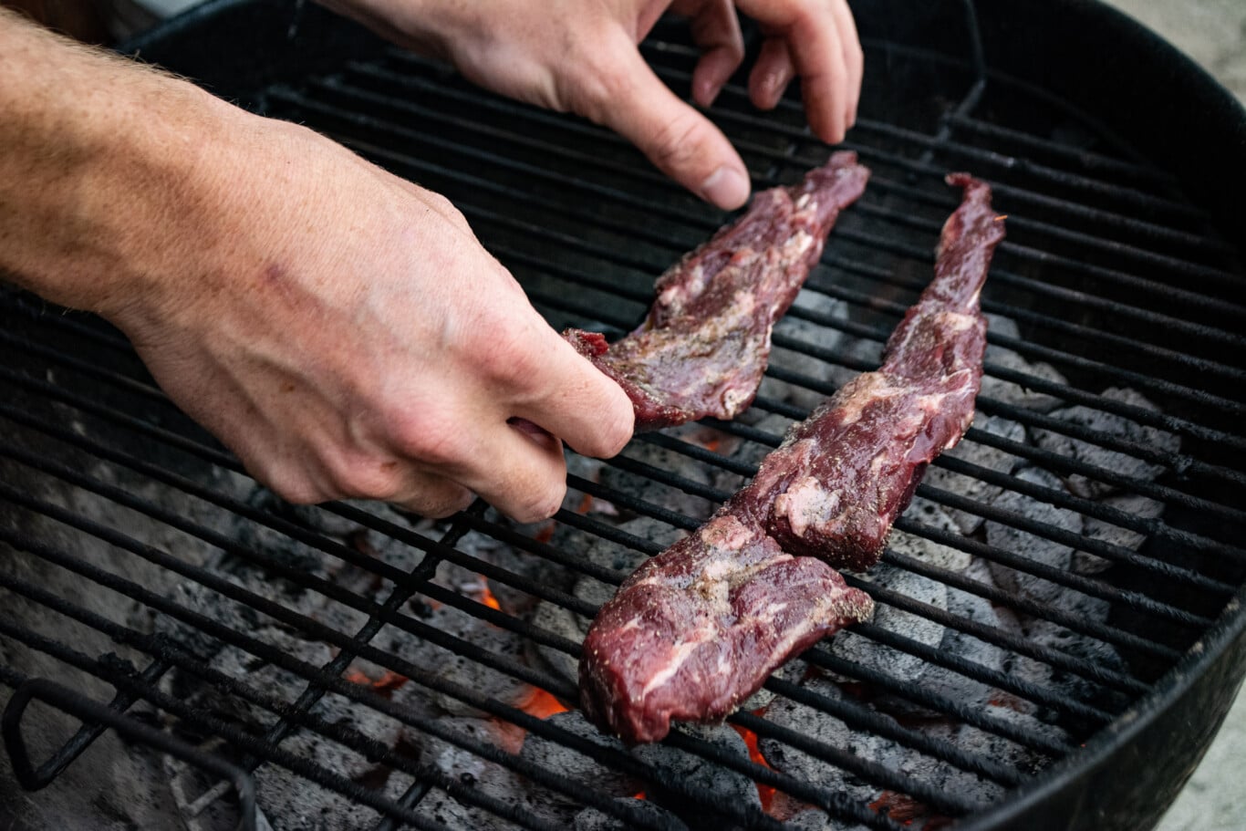 Bear Grills: A Bear Meat Recipe Competition
