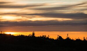 Wyoming Sunset