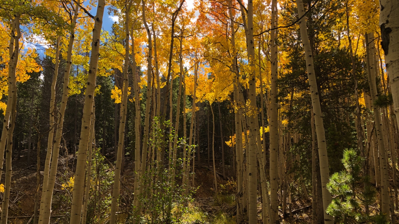 Tales from Summit Sage: Clea Bertholet