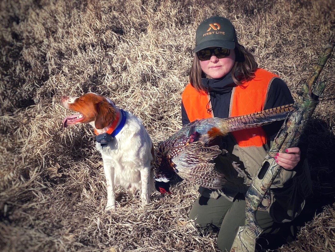 Tales from Summit to Sage: Havely Holt's Phamily Pheasants - Wyoming ...