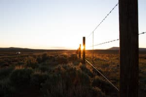 Sunrise Fenceline near Farson