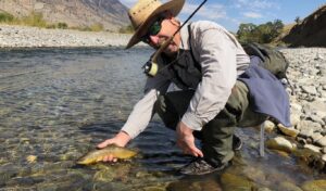 Fishing the South Fork Shoshone Wyoming