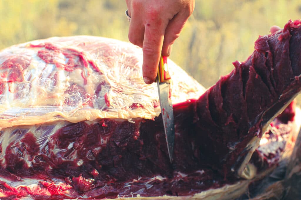 Cutting Antelope Backstrap