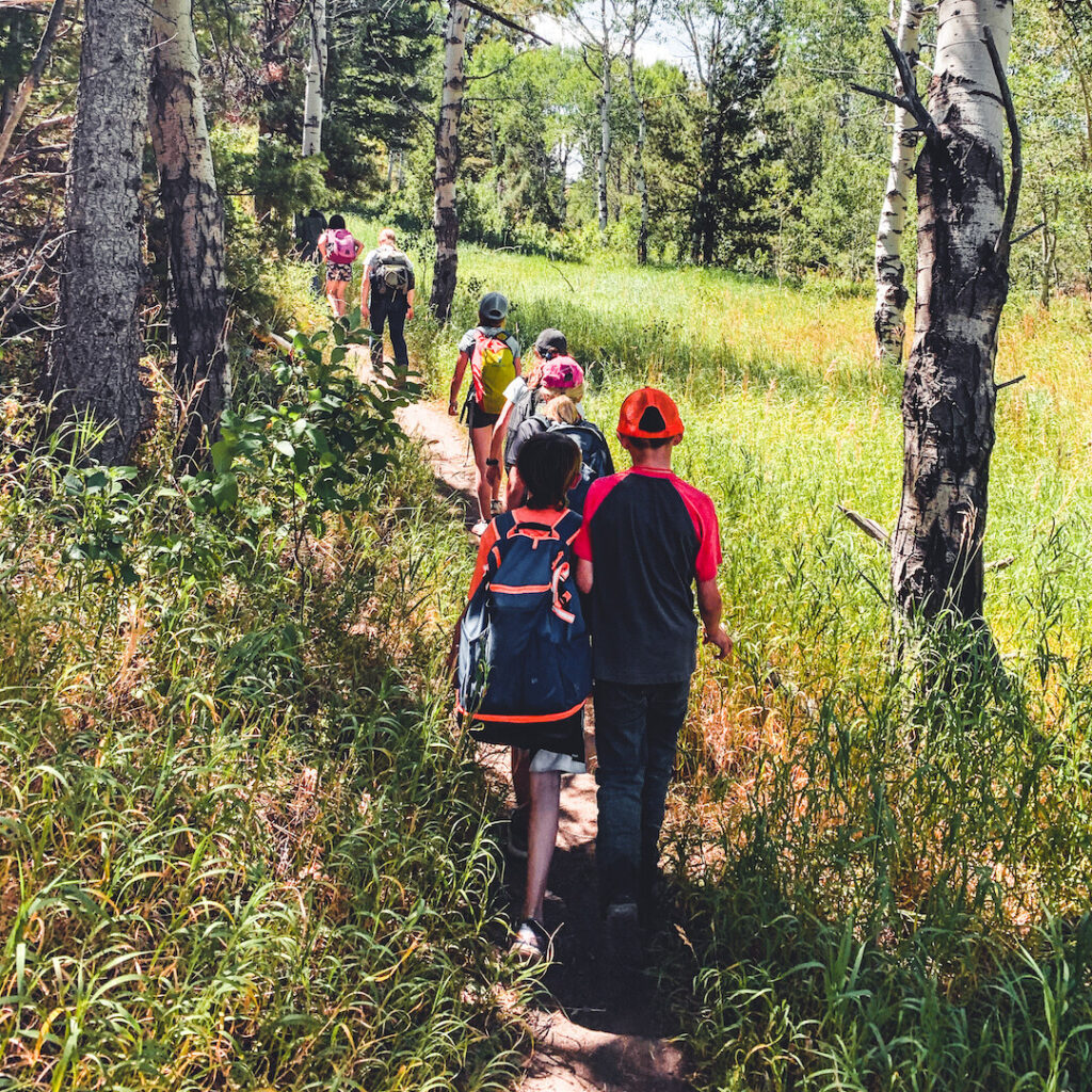 Students on a nature hike