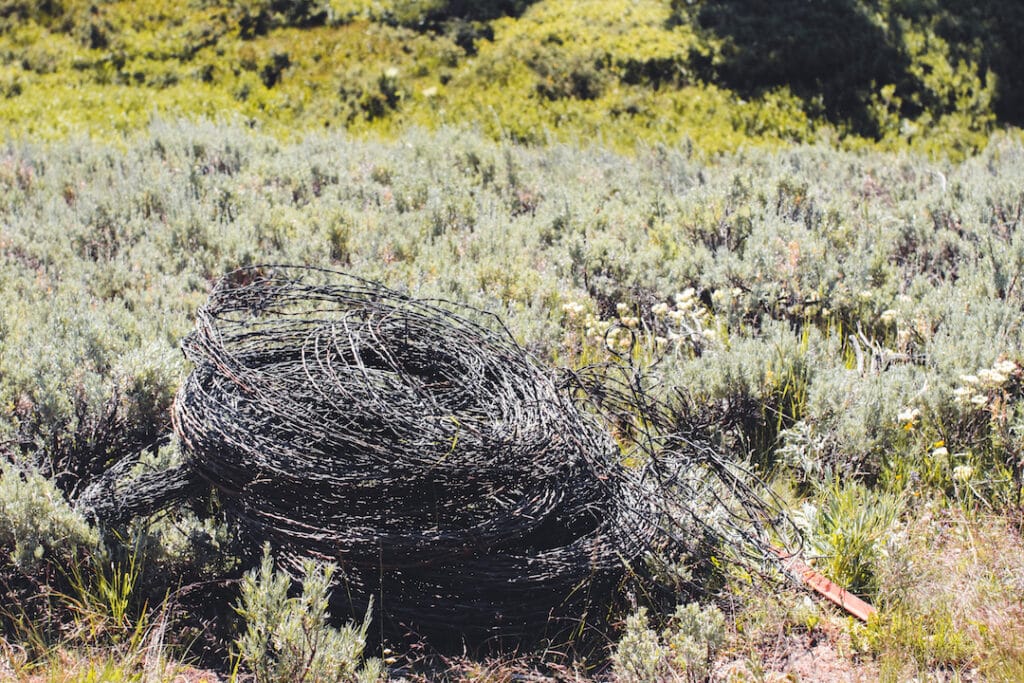 WWF_Pile_Of_Barbed_Wire