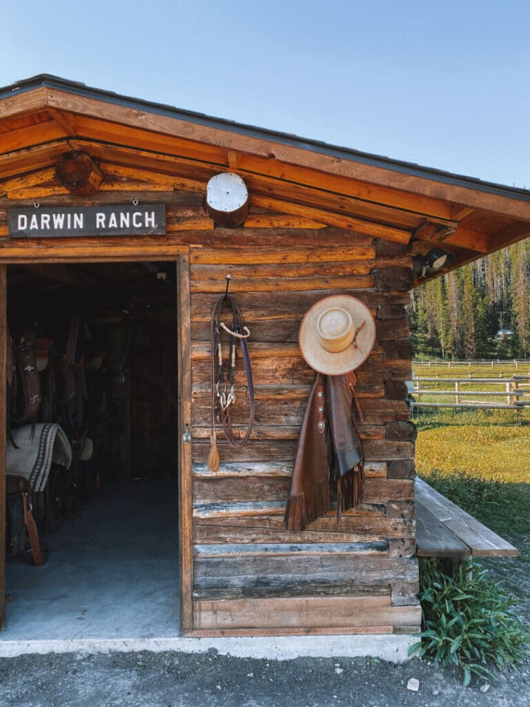 Darwin Ranch Sign Pic