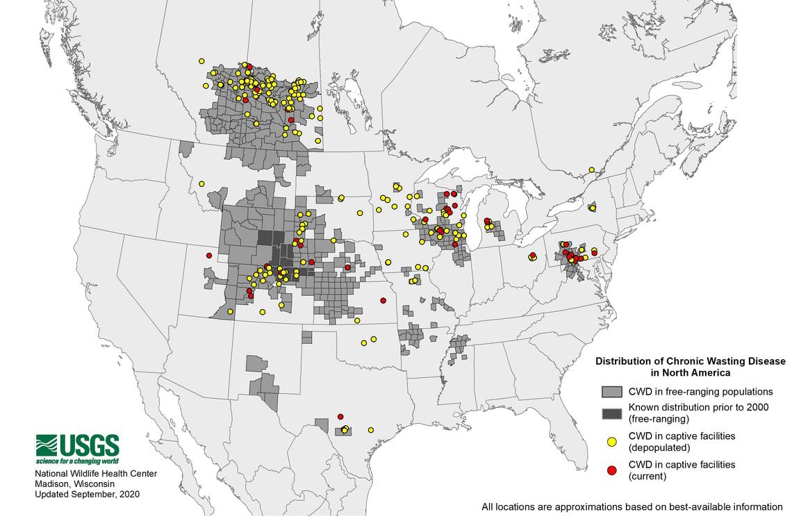 Why You Should Get Your Deer Checked For Cwd