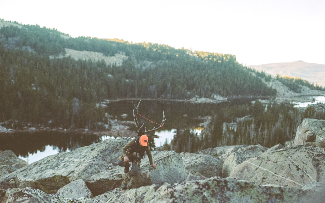 Protected: 2022 Elk Hunting Regional Roundup