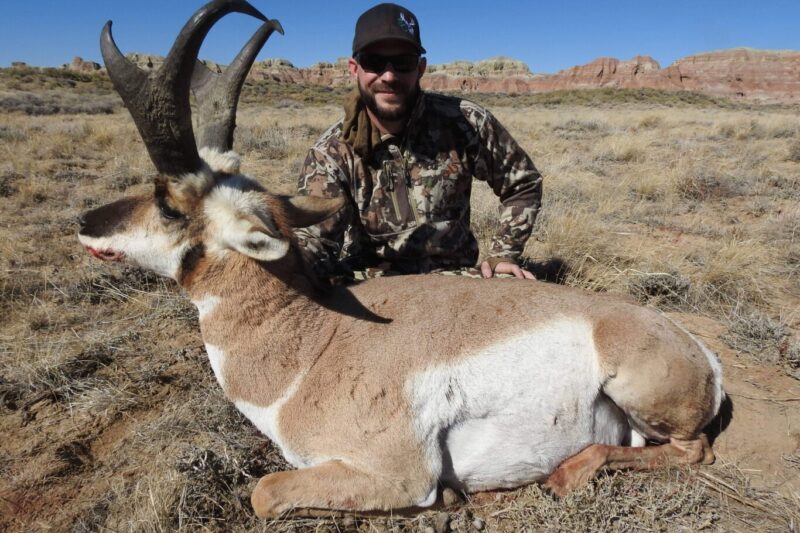 Commissioner Antelope 2