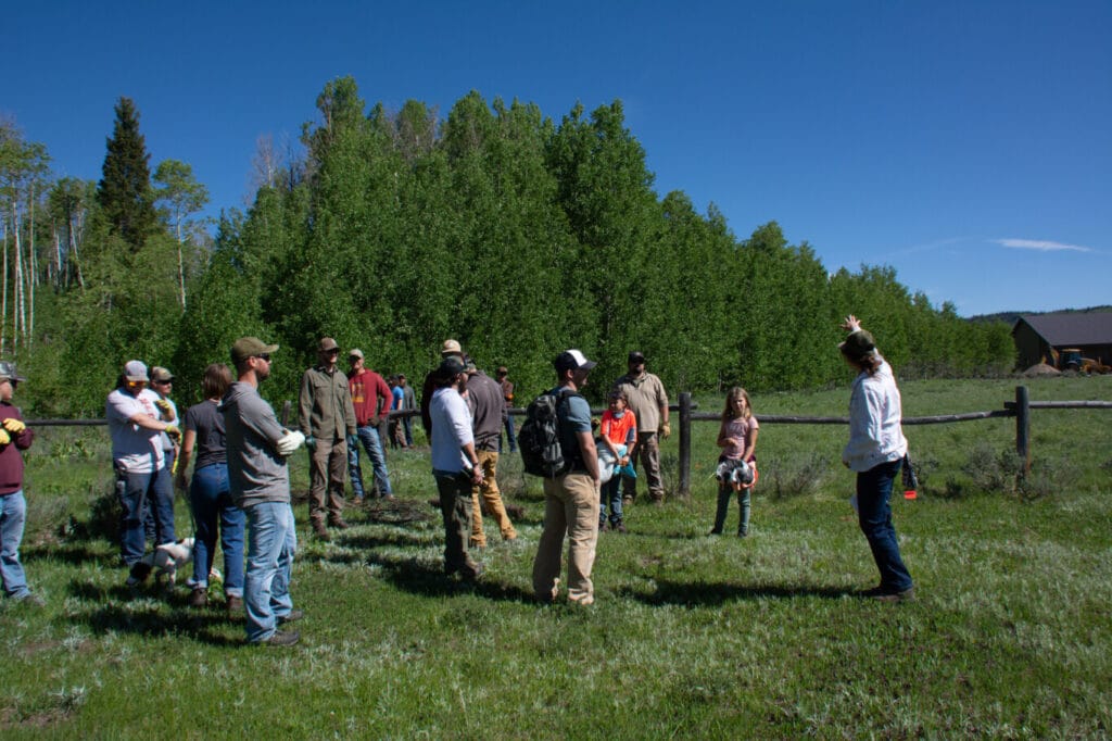 Volunteers at Fence Project