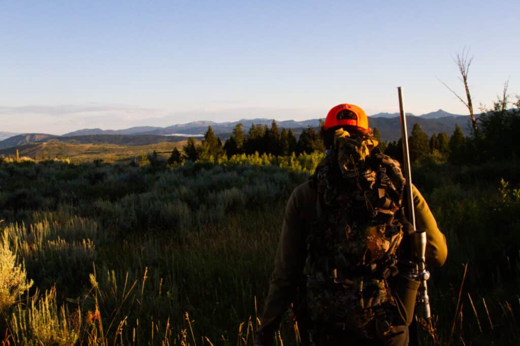 Gray Hunting Bison