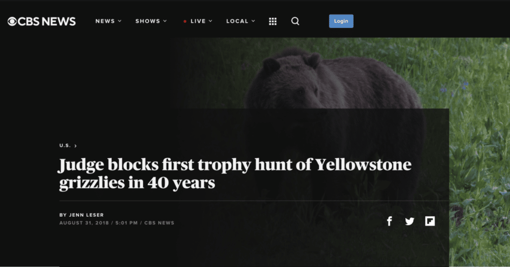 Screenshot of National Bear Hunting Headline