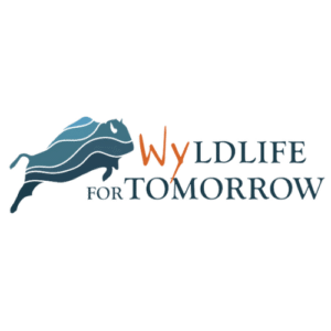 WYForTomorrow Logo