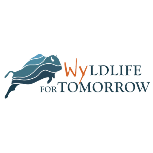 WYForTomorrow Logo