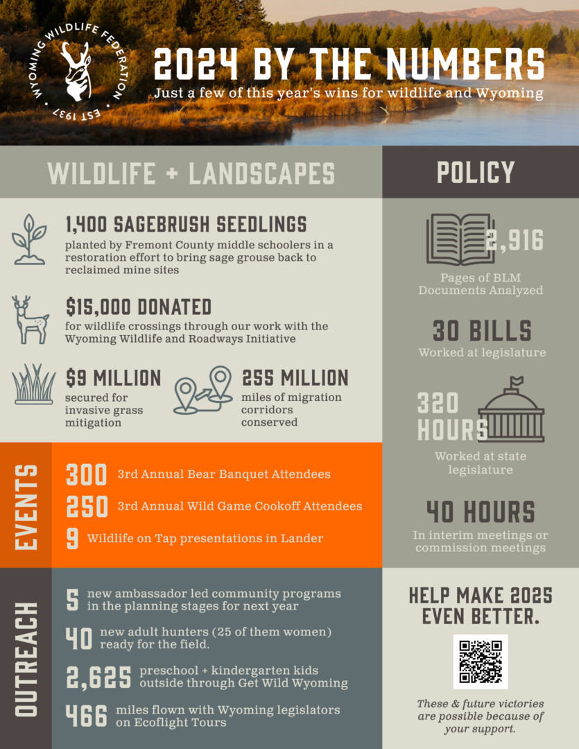 2024 By the Numbers_WWF