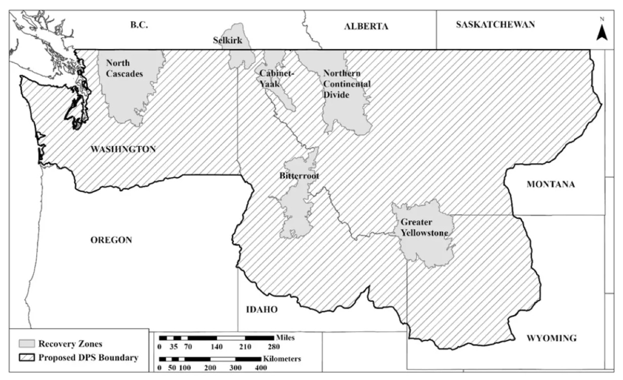 Bear Map