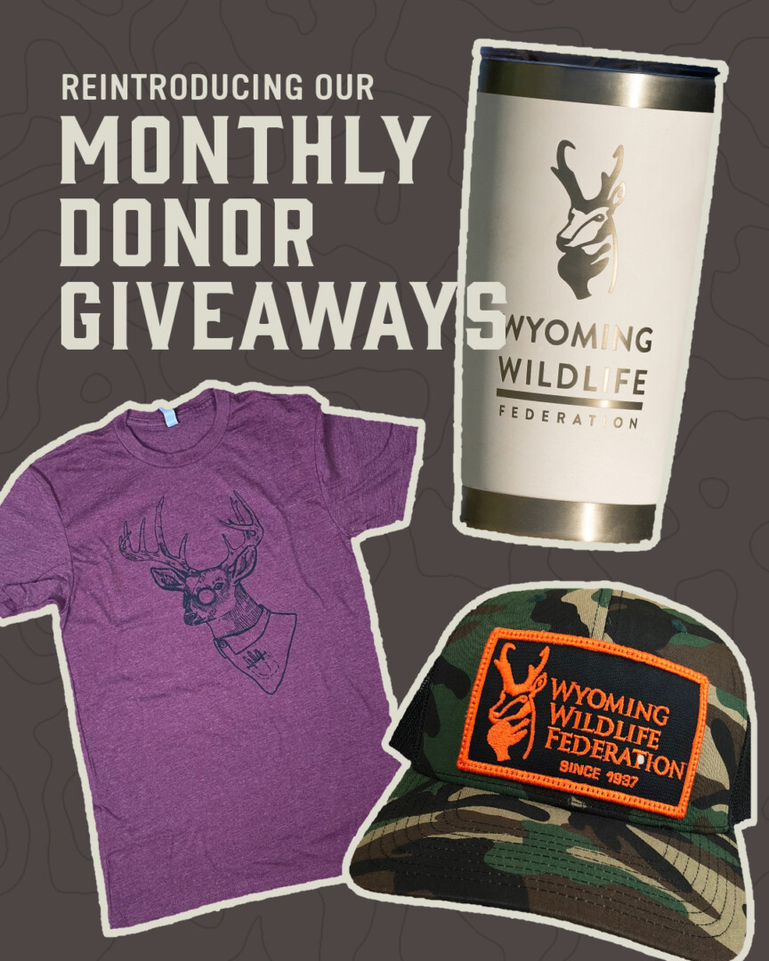 Monthly Donor Giveaway_social post