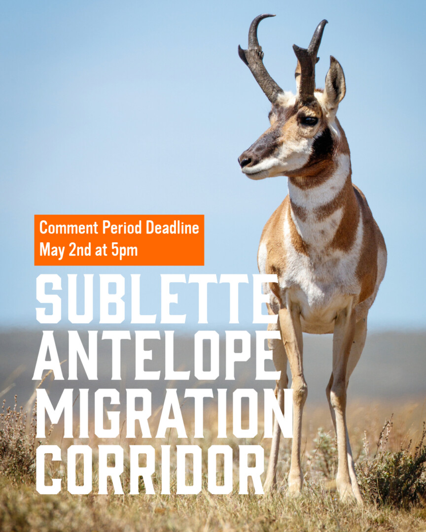 Sublette Antelope Migration Corridor Comments