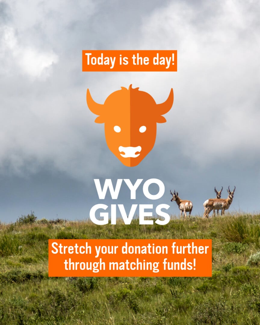 WyoGives_Social_2