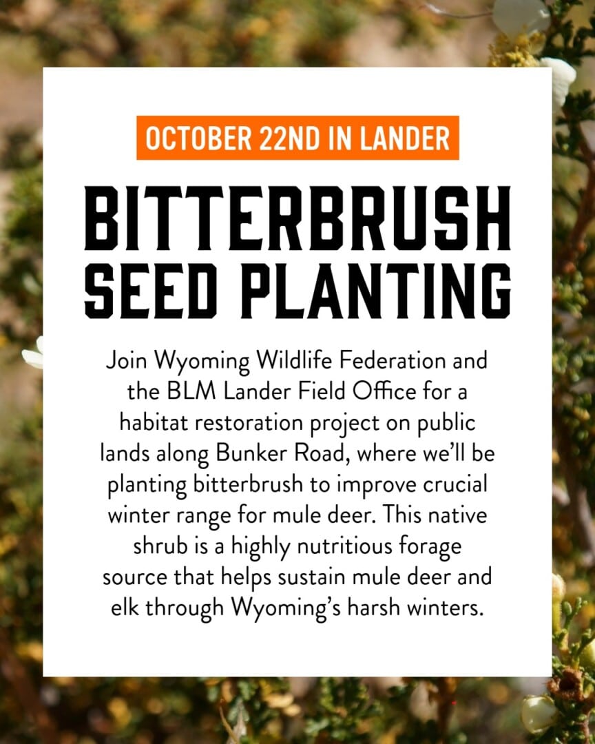 Habitat Proj Social_2