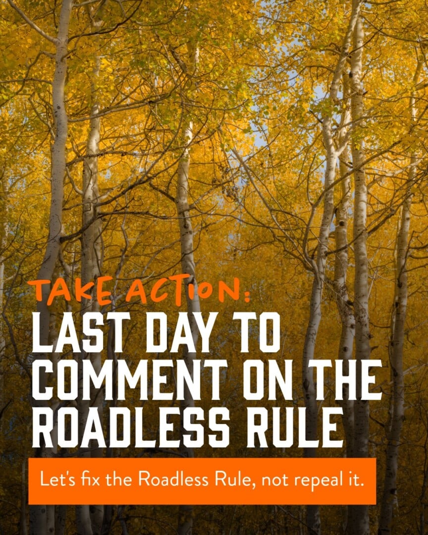 Roadless Rule_last day