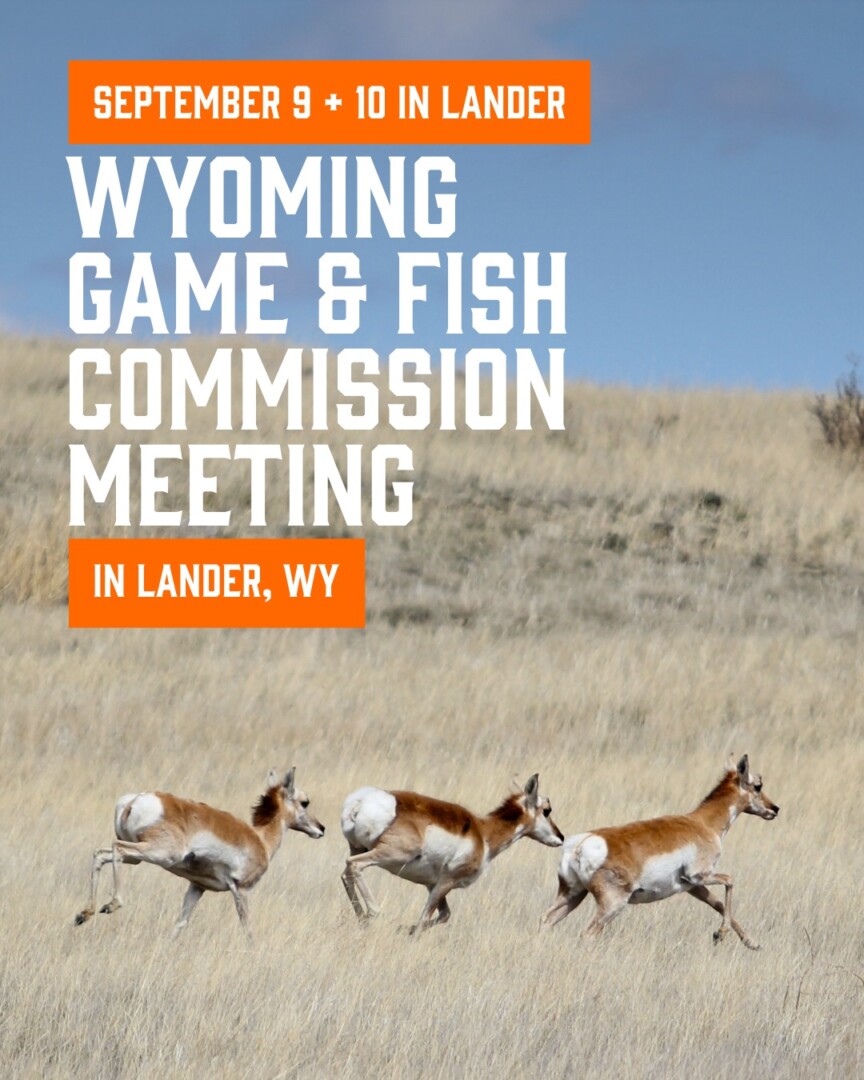 Wyoming Game and Fish Commission Mtg Lander