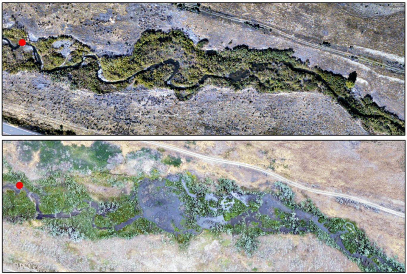 Weber, Nick & Bouwes, Nick & Pollock, Michael & Volk, Carol & Wheaton, Joseph & Wathen, Gus & Wirtz, Jacob & Jordan, Chris. (2017). Alteration of stream temperature by natural and artificial beaver dams. PLOS ONE. 12. 10.1371/journal.pone.0176313. 