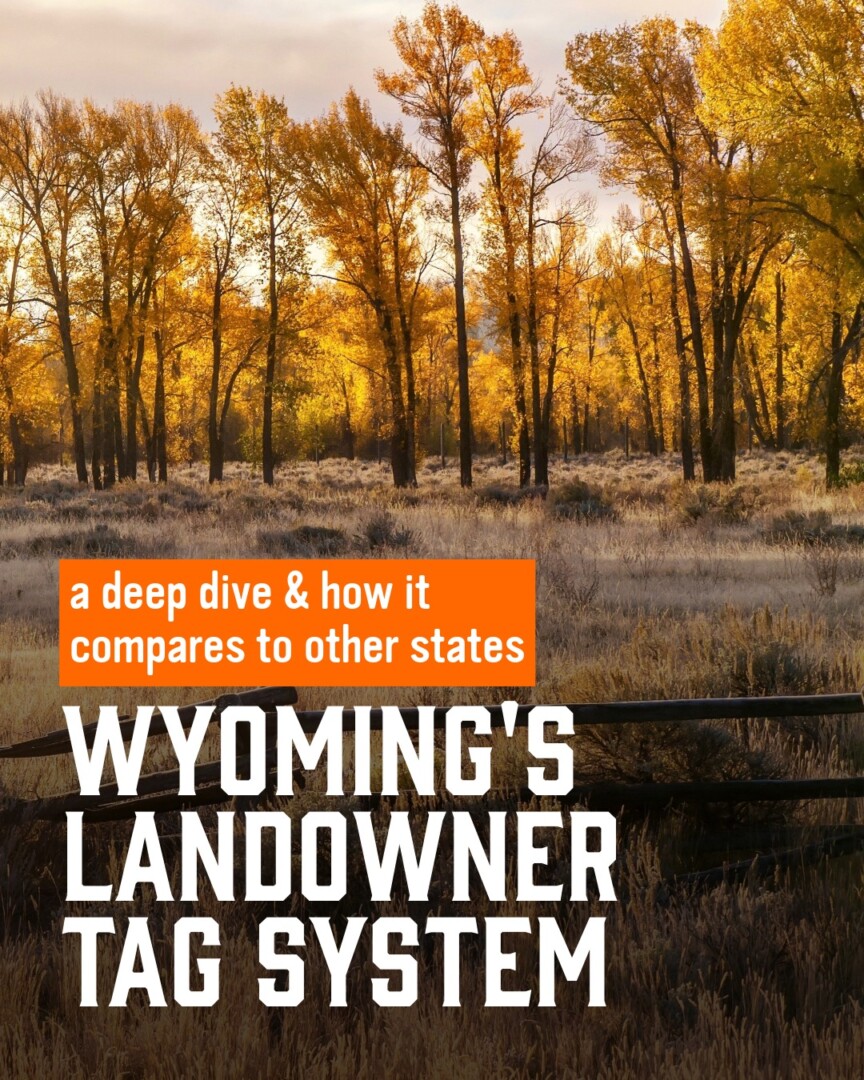 WY Landowner Tags - Article