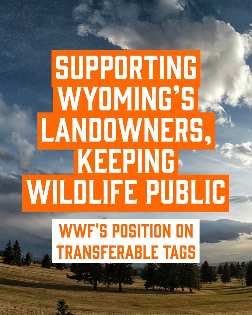 WY Landowner Tags - WWF Stance