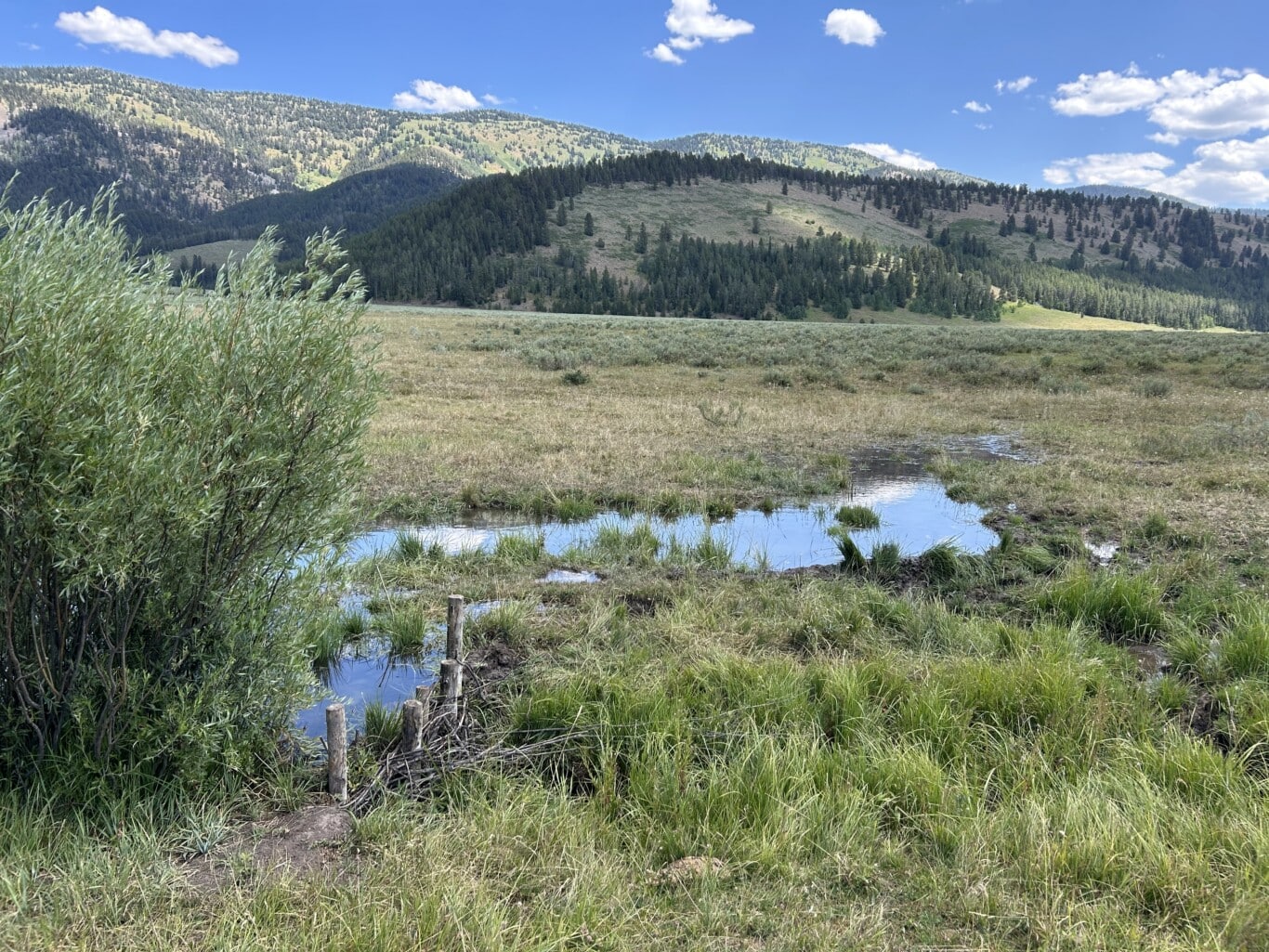 IMG_8508