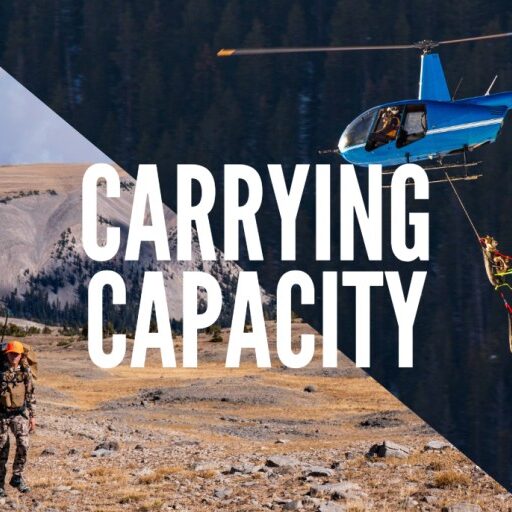 Carrying Capacity