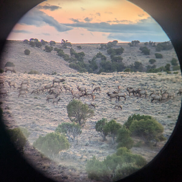 Scope Scope
