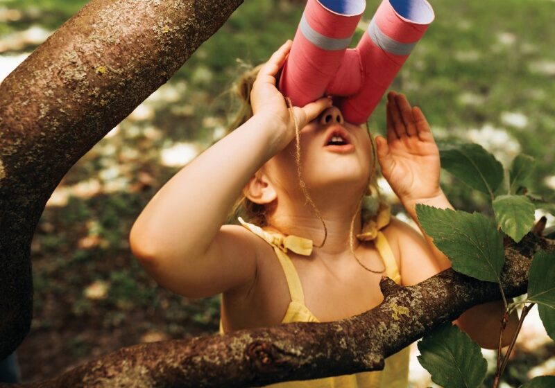 WildlifePlay