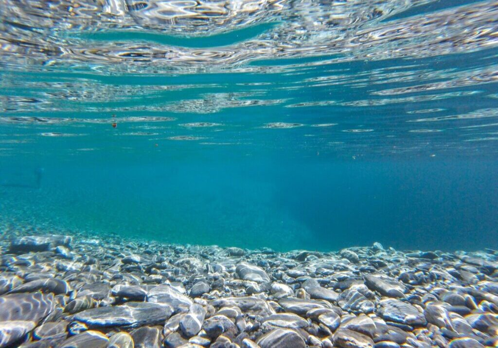 pexels-lastly-590178